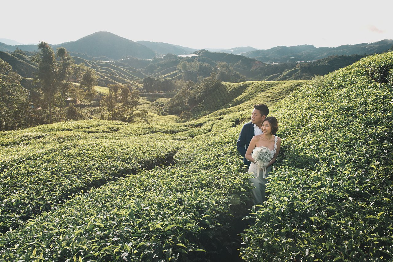Cameron Highlands Pre wedding by Glance Photography Studio